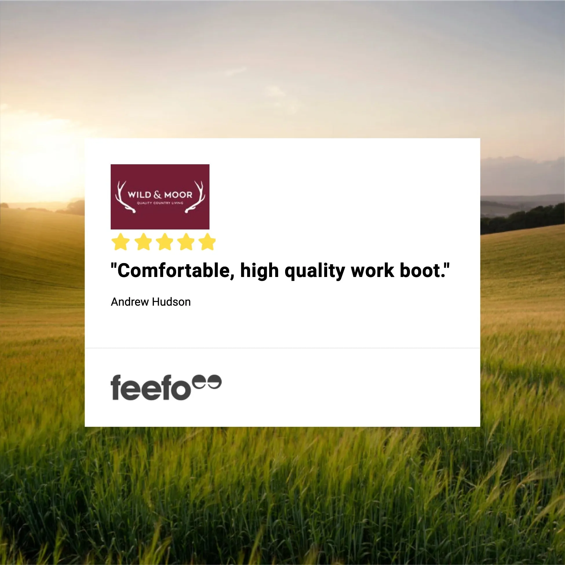 Hoggs of Fife Zeus Safety Dealer Boots